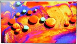 49” CL High Bright Commercial Display