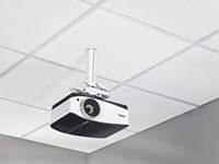 Chief Suspended Ceiling Projector System  ( SYSAUW)